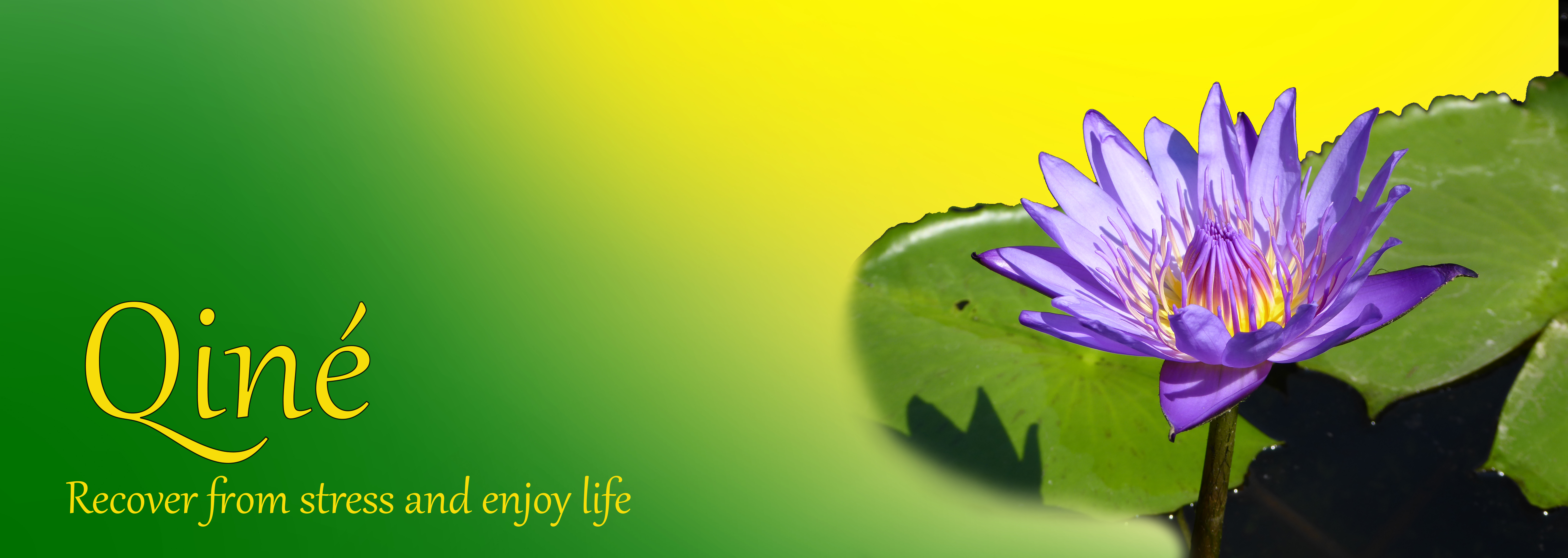 Slider_en 2